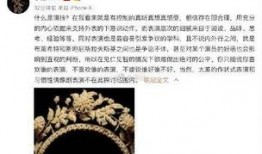 明星八卦爆料剪影视频,剪影视频揭示幕后真相