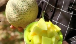 娱乐吃瓜壁纸图片,揭秘吃瓜群众背后的故事